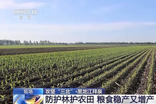 沙特联-吉达国民6-0艾卜哈仍居第三 维加两射两传马赫雷斯破门